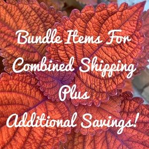 Bundle to Save More - Get Combined Shipping